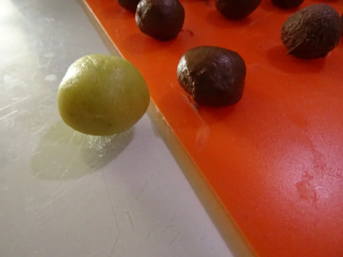 Mozart-Kugeln - Rezept - Bild Nr. 7750