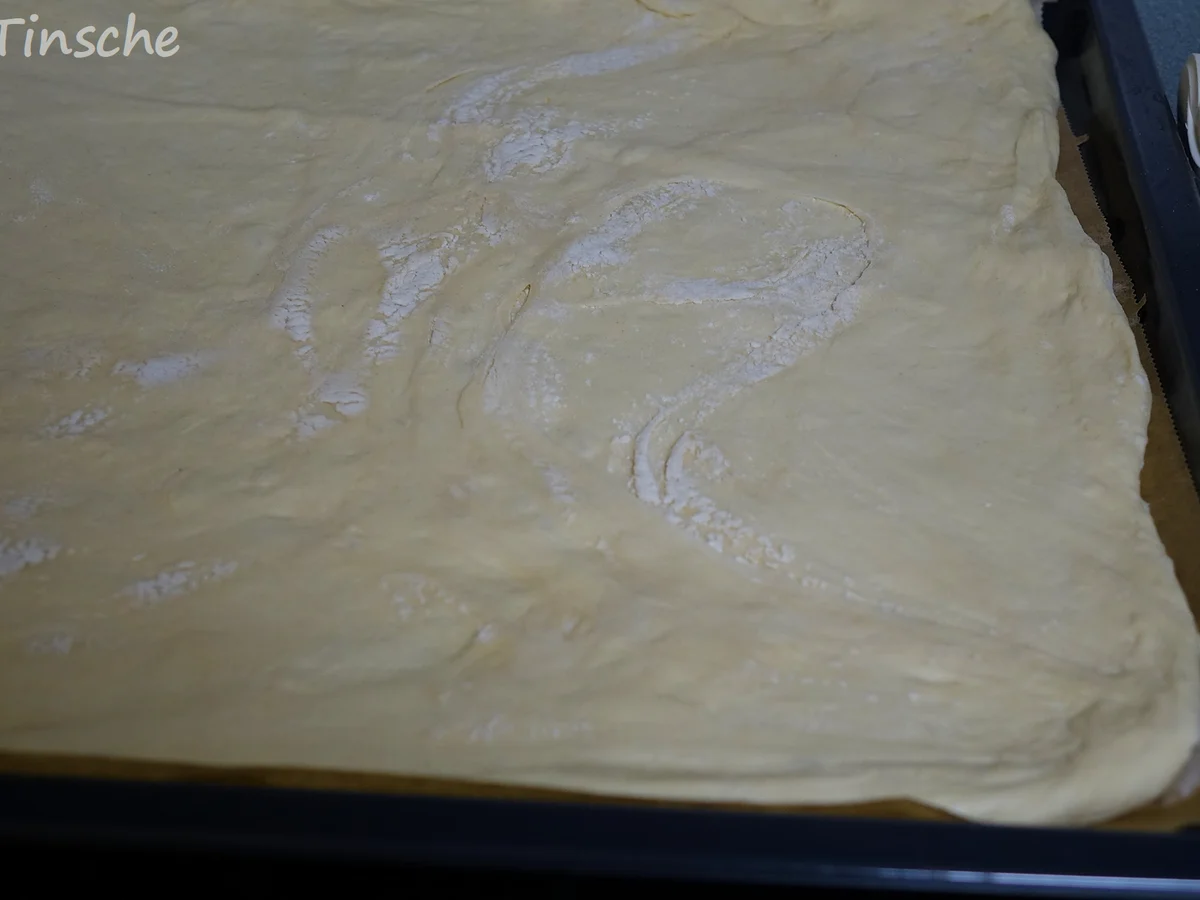 Dinkel-Tomaten-Drei-Käse-Pizza - Rezept - Bild Nr. 7752