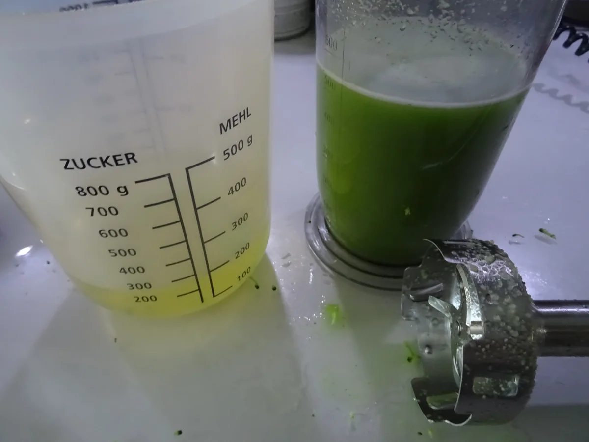 Rotbarschfilet-Schaschlik mit Broccoli-Risotto - Rezept - Bild Nr. 7762