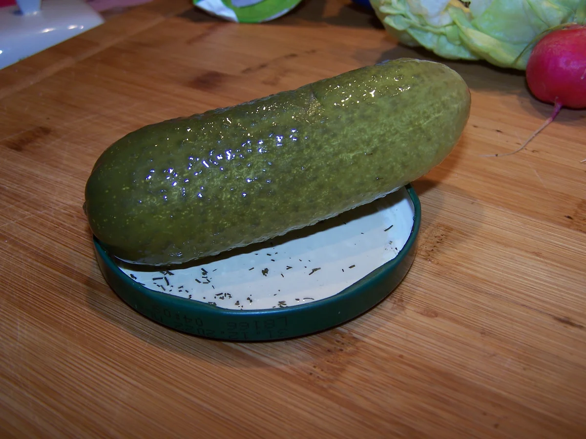 Rezept: Marinierte Heringe mit Dill und Radieschen Bild Nr. 7760 Marinierte Heringe mit Dill und Radieschen - Rezept - Bild Nr. 7760