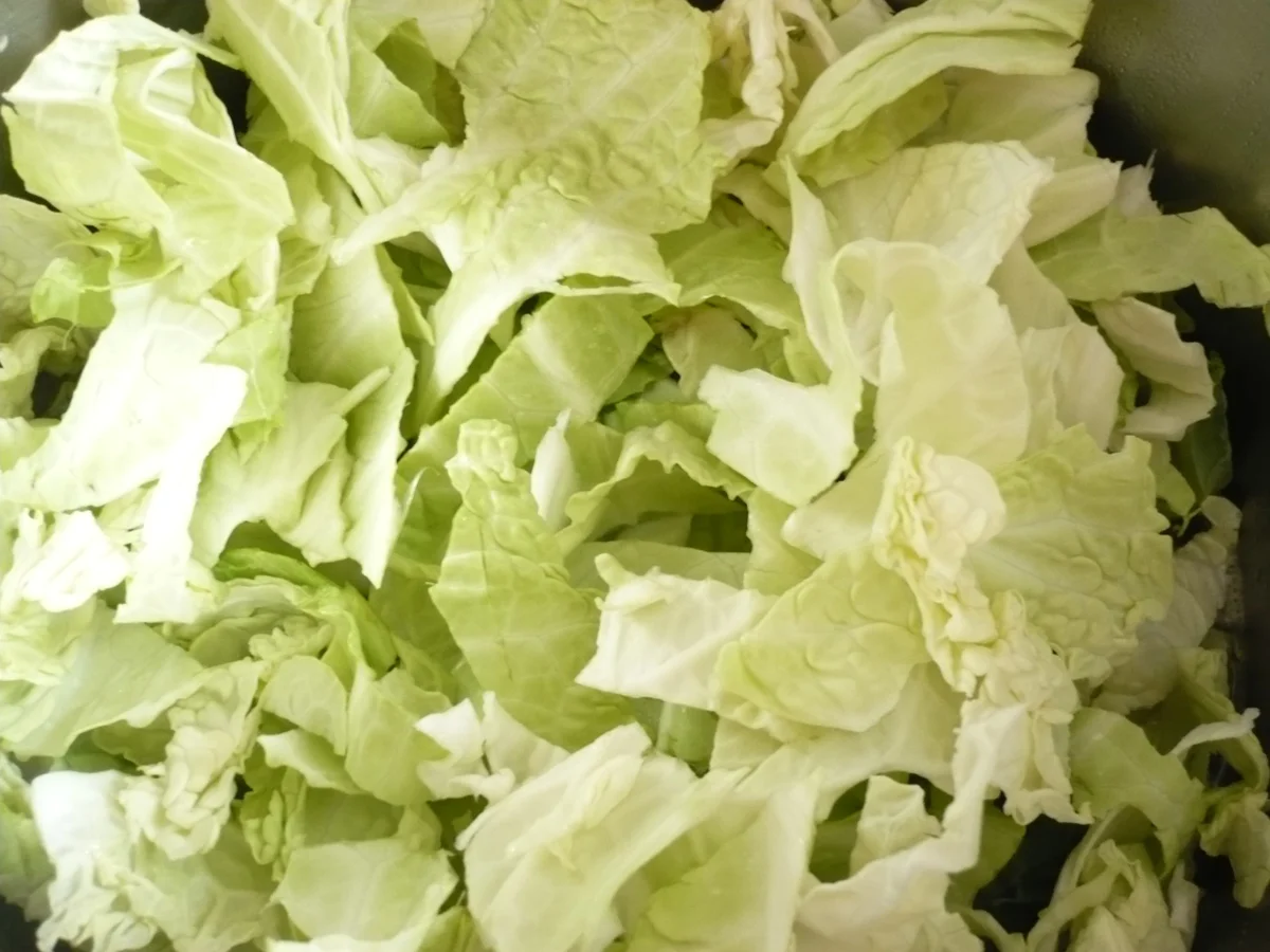 Möhren - Wirsing Eintopf - Rezept - Bild Nr. 7768