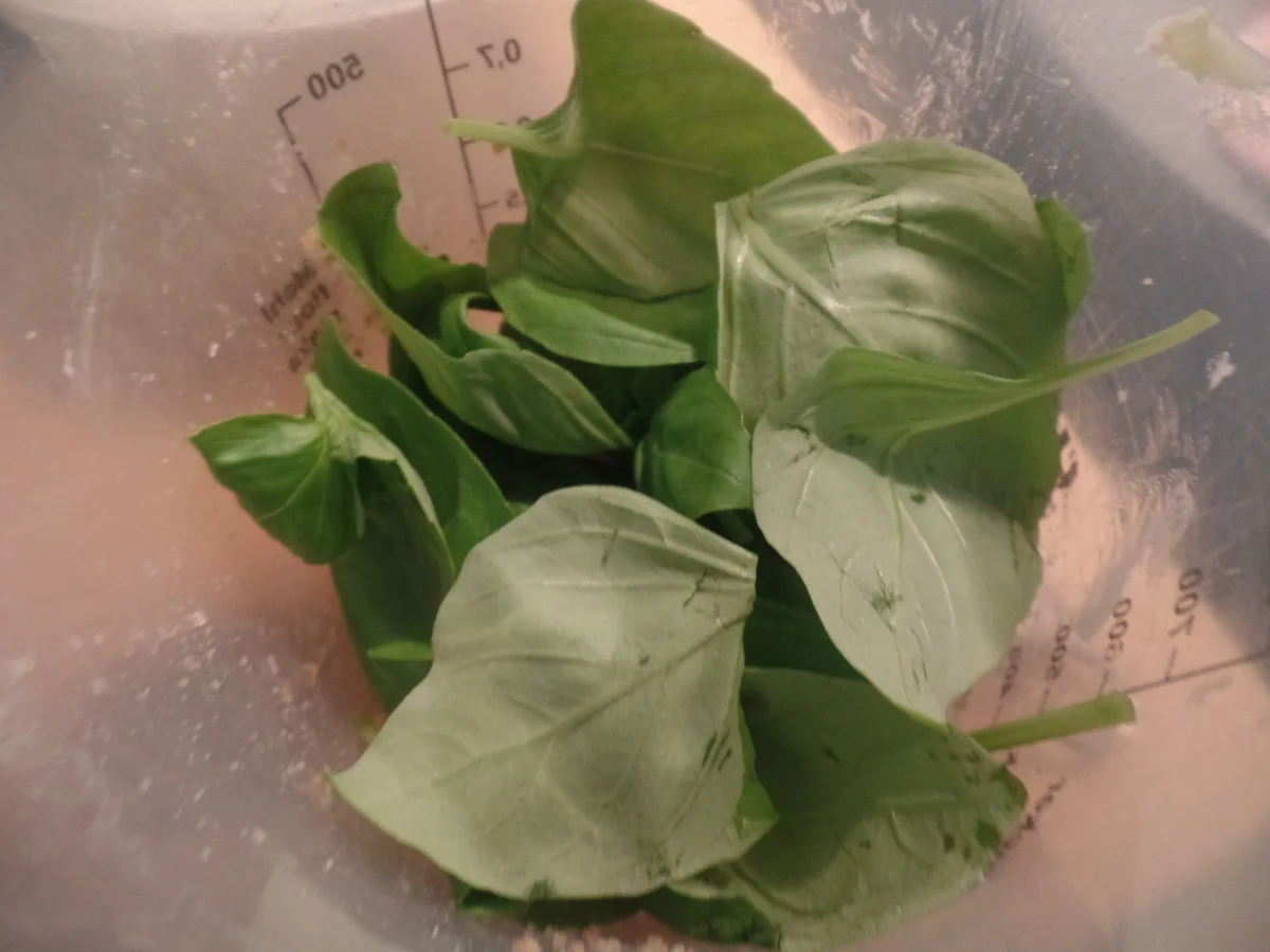 Lachsfilet mit Kräuterkruste - Rezept - Bild Nr. 7770