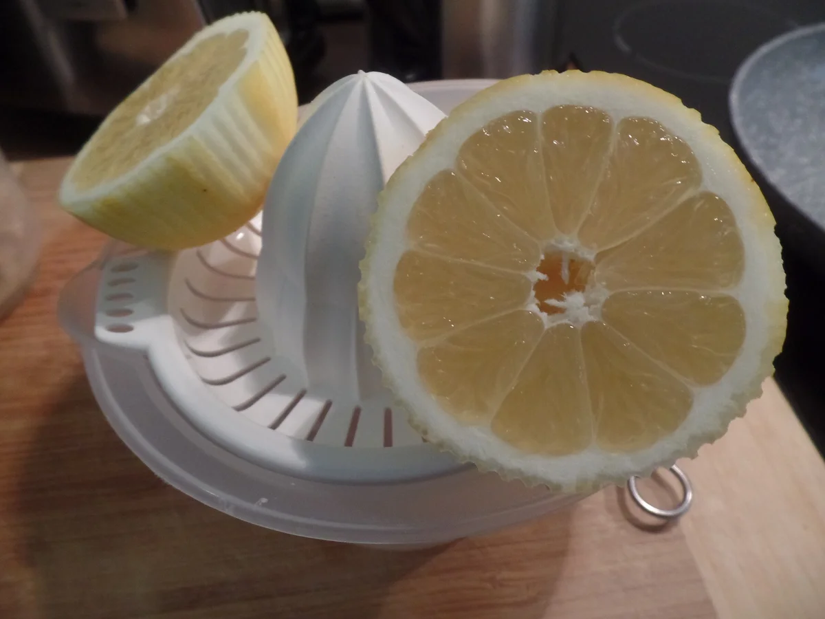 Lachsfilet mit Kräuterkruste - Rezept - Bild Nr. 7788