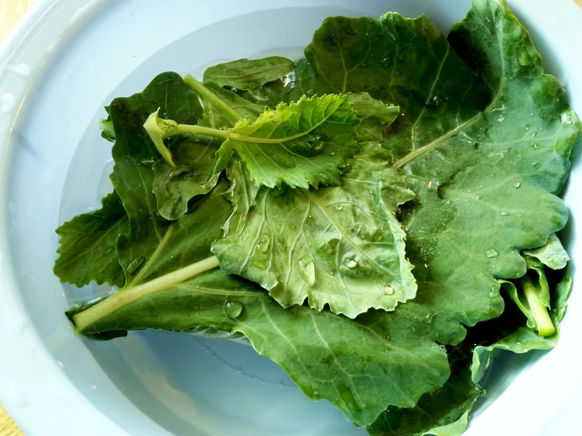 Kohlrabi dampfgegart - Rezept - Bild Nr. 7789