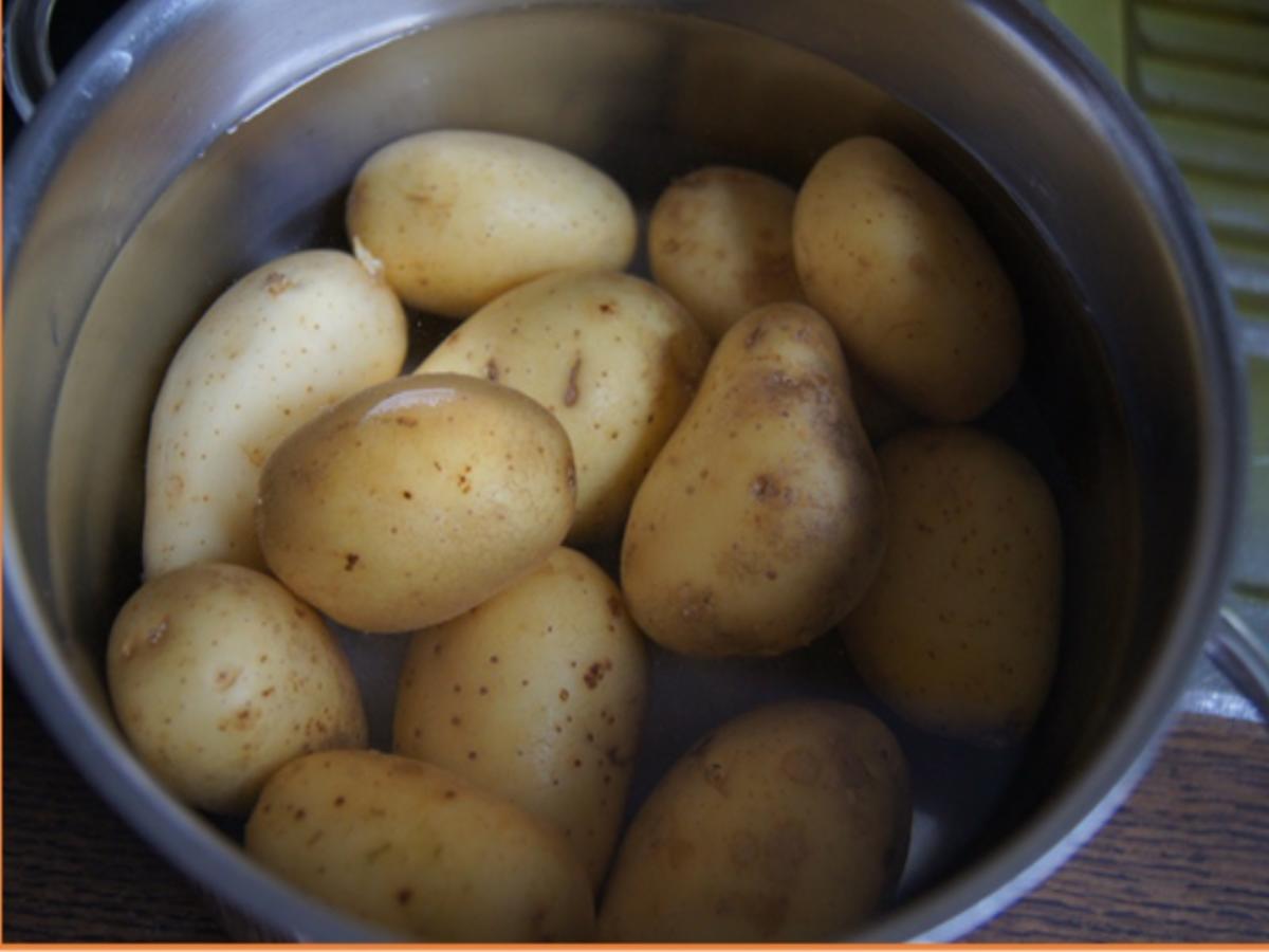 Bratheringsfilet mit Bratkartoffeln und Rote-Bete-Apfel-Salat - Rezept - Bild Nr. 7789