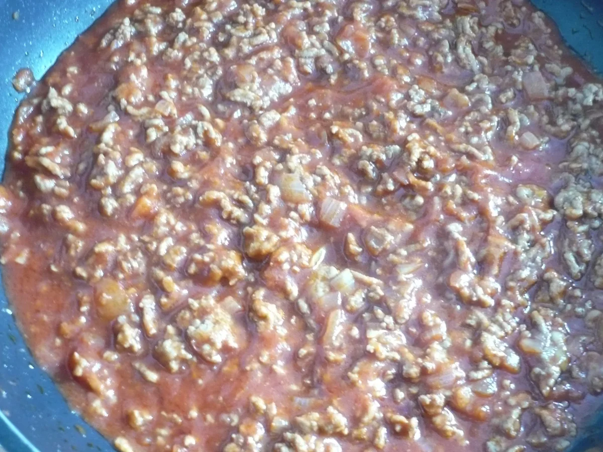 Hackfleisch - Karotten - Auflauf - Rezept - Bild Nr. 7790