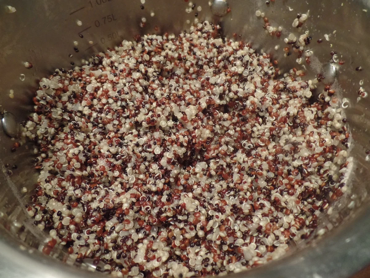 Ananashähnchen auf Quinoa-Tricolore mit Gurkensalat - Rezept - Bild Nr. 7809