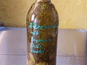 Zitronenöl - Rezept - Bild Nr. 2