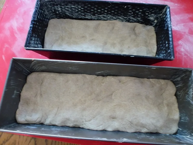 Rezept: Roggenmischbrote Bild Nr. 7833 Roggenmischbrote - Rezept - Bild Nr. 7833