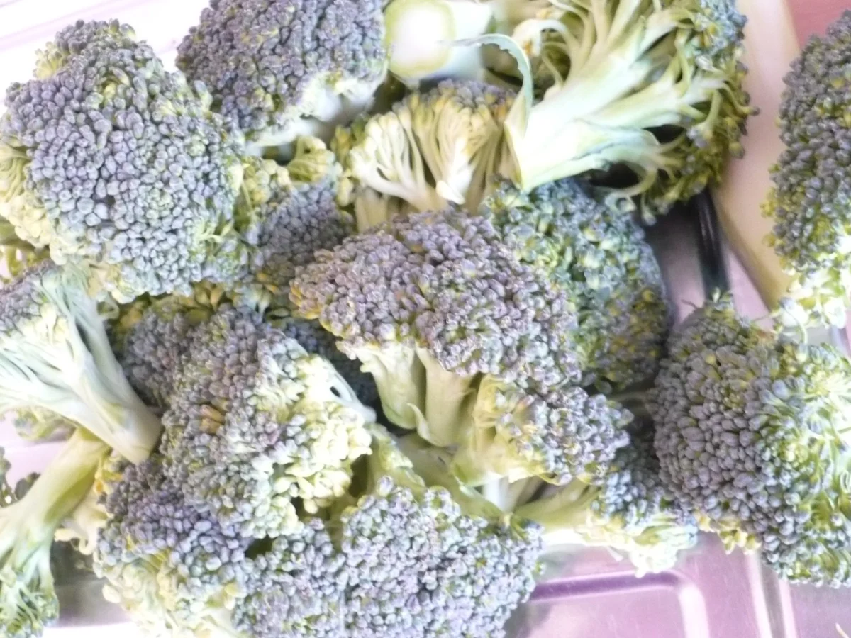 Broccoli - Kassler Pfanne - Rezept - Bild Nr. 7832