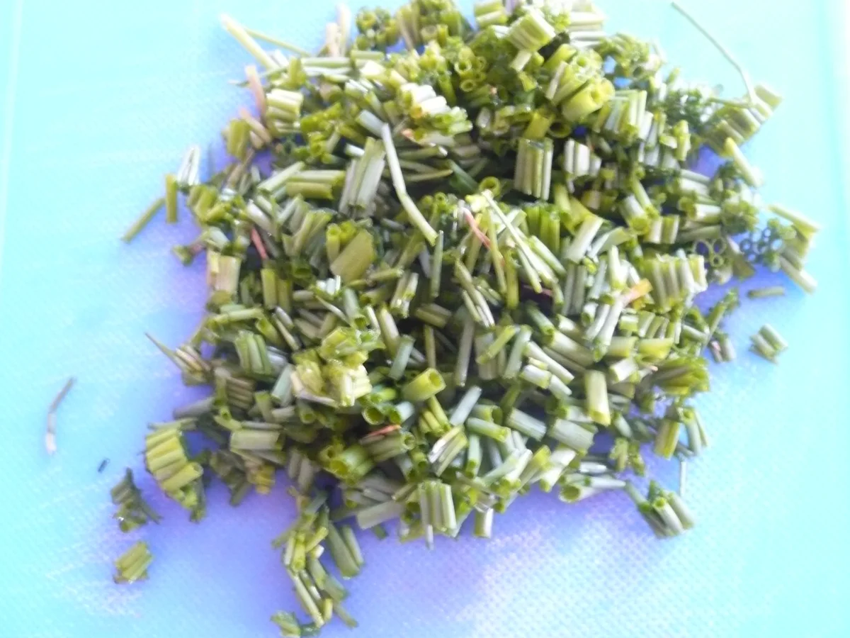 Broccoli - Kassler Pfanne - Rezept - Bild Nr. 7833