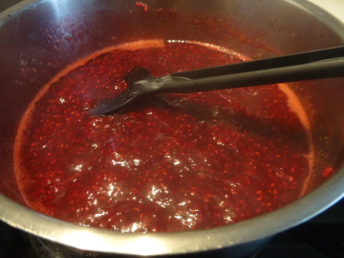 Griesflammerie mit Himbeer-Ragout - Rezept - Bild Nr. 7841