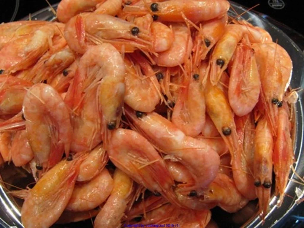 Frischer Salat mit Scampi`s (lauwarm) - Rezept - Bild Nr. 7856