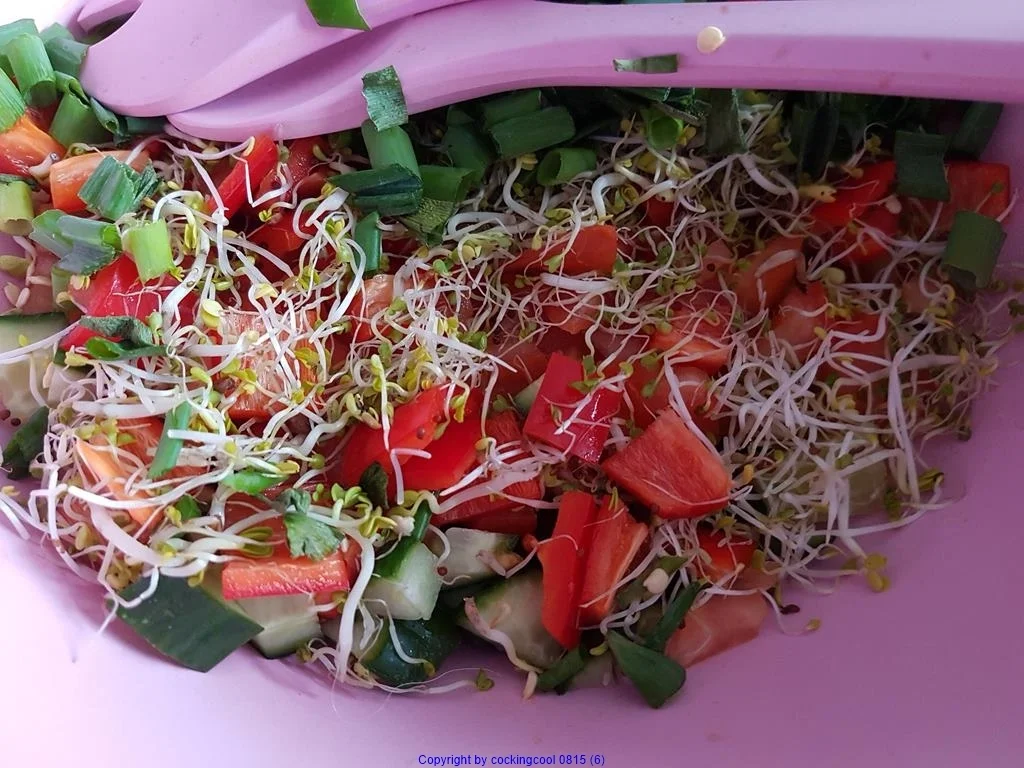 Frischer Salat mit Scampi`s (lauwarm) - Rezept - Bild Nr. 7862