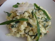 Rezept: Bärlauch-Risotto Bild Nr. 7855 Bärlauch-Risotto - Rezept - Bild Nr. 7855