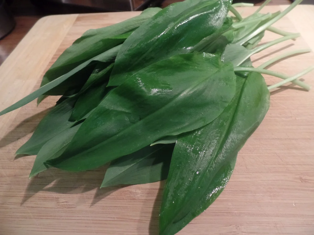 Bärlauch-Risotto - Rezept - Bild Nr. 7856