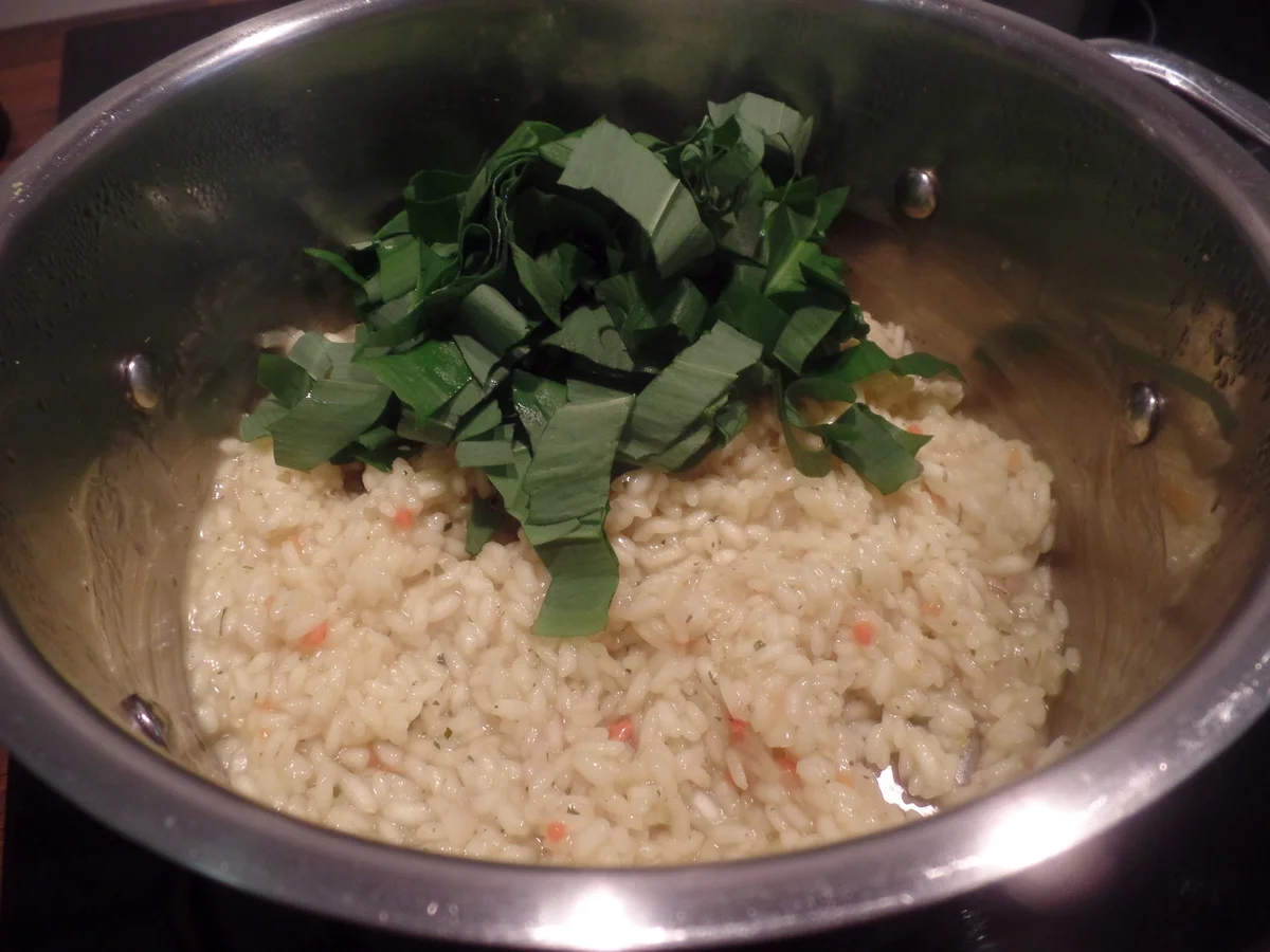 Bärlauch-Risotto - Rezept - Bild Nr. 7862