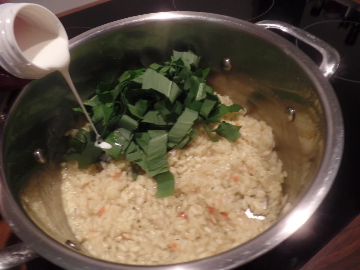 Bärlauch-Risotto - Rezept - Bild Nr. 7863