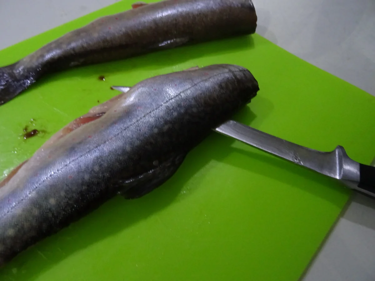 Saiblingsfilet-Röllchen im Knusperbett, im Ofen gegart - Rezept - Bild Nr. 7938