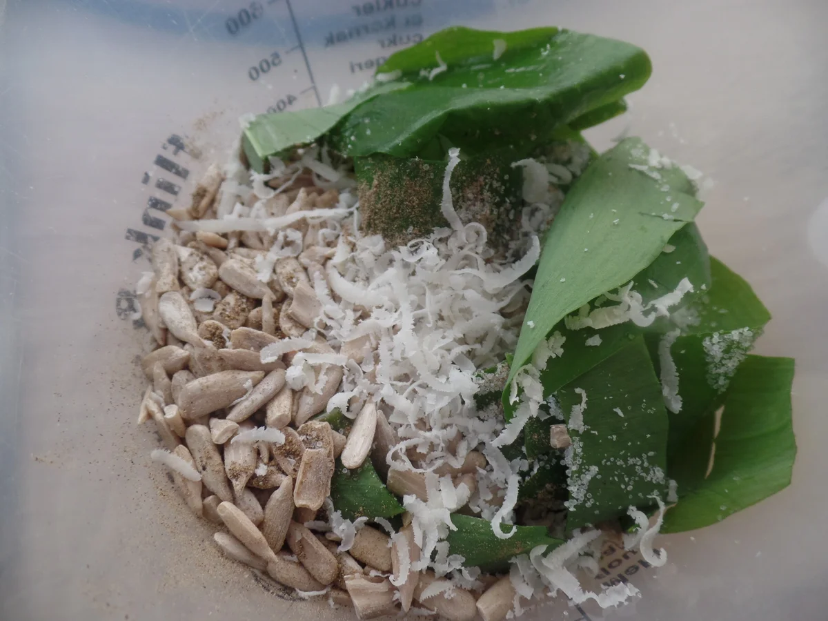 Gnocchi mit Spargel und Bärlauch -Pesto - Rezept - Bild Nr. 7916