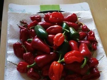 HÖLLE HÖLLE HÖLLE - Rezept - Bild Nr. 7944