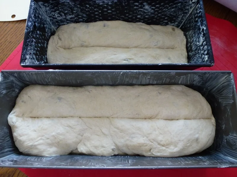 Rezept: Toastbrot Bild Nr. 7959 Toastbrot - Rezept - Bild Nr. 7959