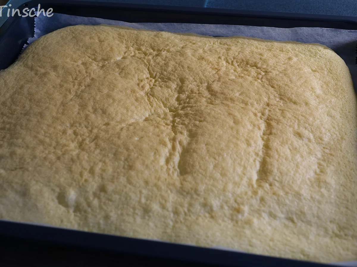 Erbeer-Sahne-Biskuitroulade - Rezept - Bild Nr. 7952