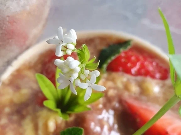 Schokokaffee-Vanilleeis, Espresso u. Erdbeeren = kochbar Challenge 4.0 (Mai 2019) - Rezept - Bild Nr. 8051