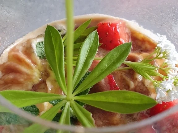 Schokokaffee-Vanilleeis, Espresso u. Erdbeeren = kochbar Challenge 4.0 (Mai 2019) - Rezept - Bild Nr. 8052