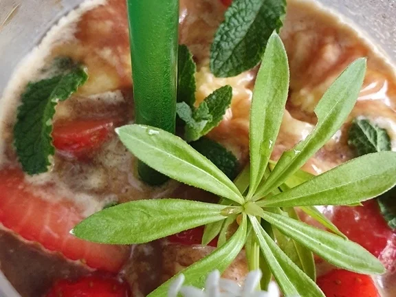 Schokokaffee-Vanilleeis, Espresso u. Erdbeeren = kochbar Challenge 4.0 (Mai 2019) - Rezept - Bild Nr. 8053