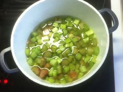 Rhabarber-Weincreme - Rezept - Bild Nr. 8040