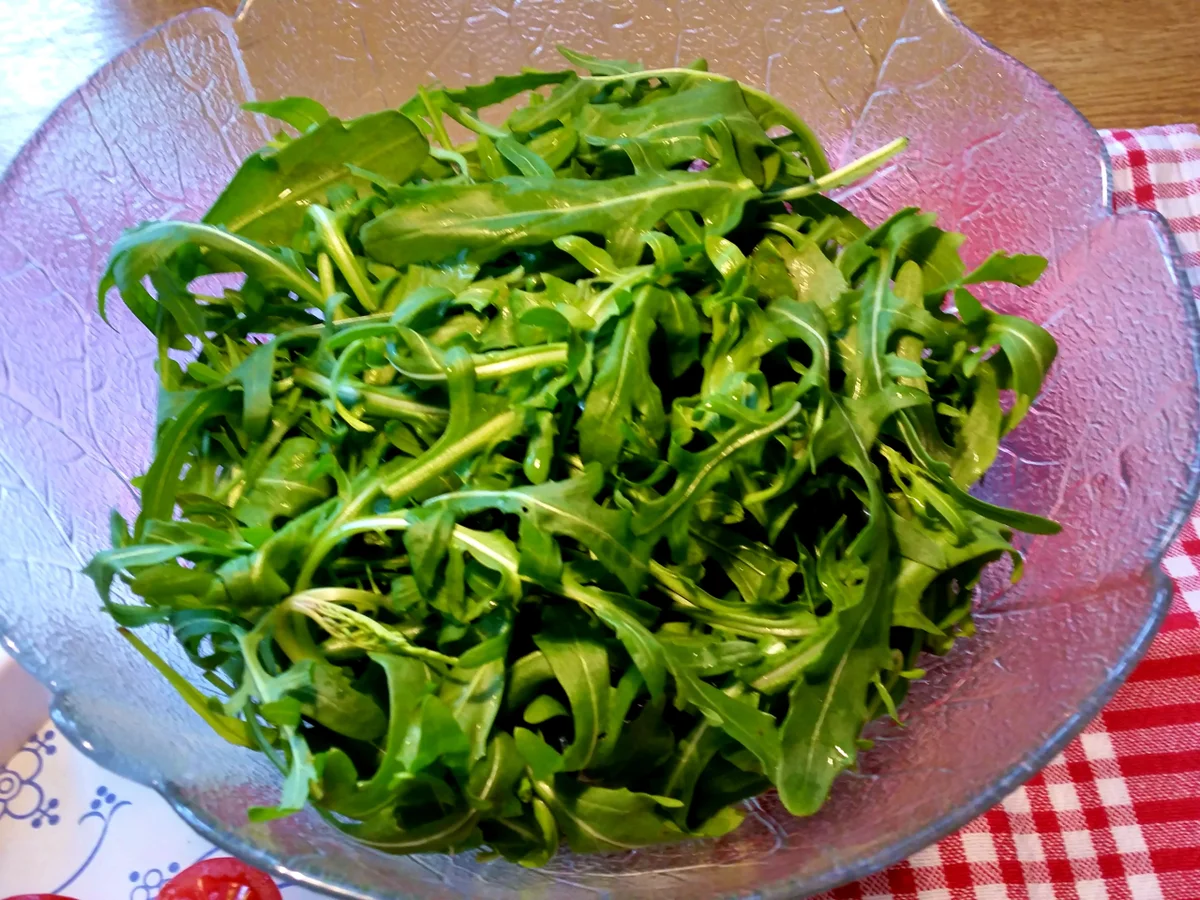 Rezept: Rucola garniert - mit Ziegenkäse, Ei und Kirschtomaten Bild Nr. 8056 Rucola garniert - mit Ziegenkäse, Ei und Kirschtomaten - Rezept - Bild Nr. 8056