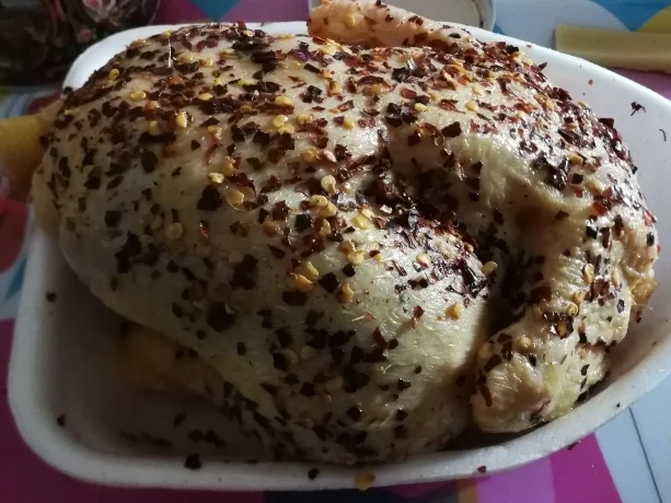 SCOVILLE - HÄHNCHEN AN RÖSTGEMÜSE IM SITZSTREIK - Rezept - Bild Nr. 8055