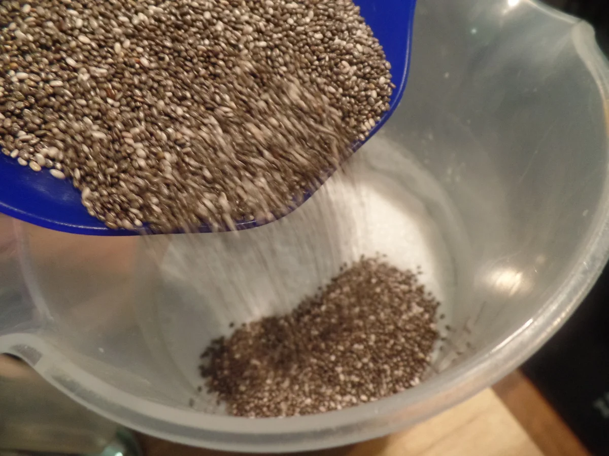 Chiapudding mit Blaubeeren - Rezept - Bild Nr. 8070