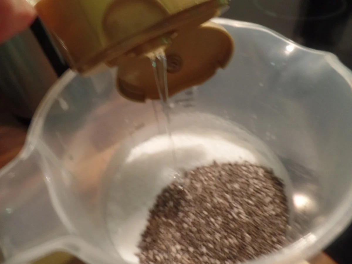 Chiapudding mit Blaubeeren - Rezept - Bild Nr. 8071