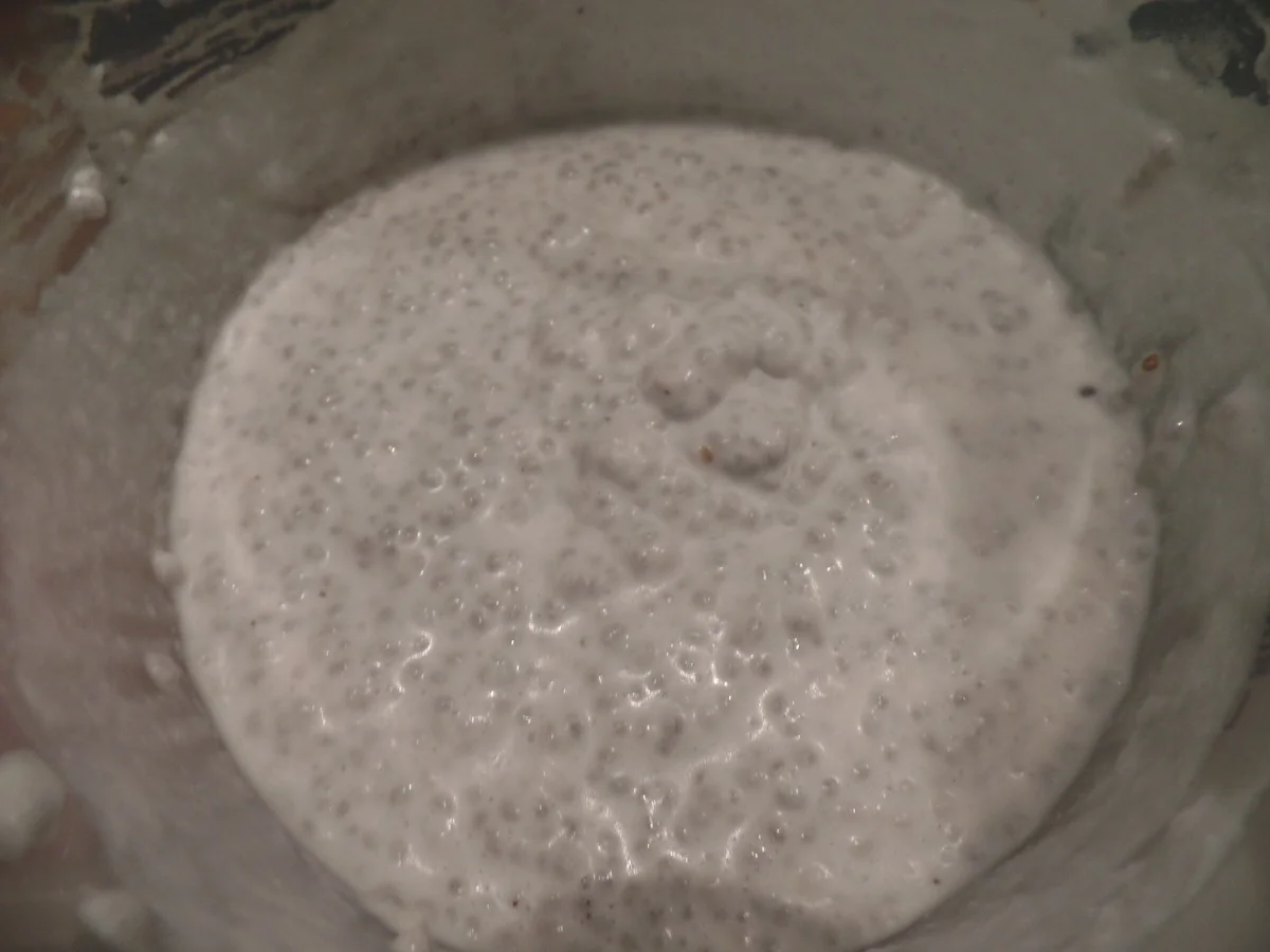 Chiapudding mit Blaubeeren - Rezept - Bild Nr. 8073