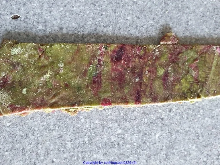 Rezept: Pasta wird zur süss sauren Pasta und sieht hübsch aus :) Bild Nr. 8073 Pasta wird zur süss sauren Pasta und sieht hübsch aus :) - Rezept - Bild Nr. 8073