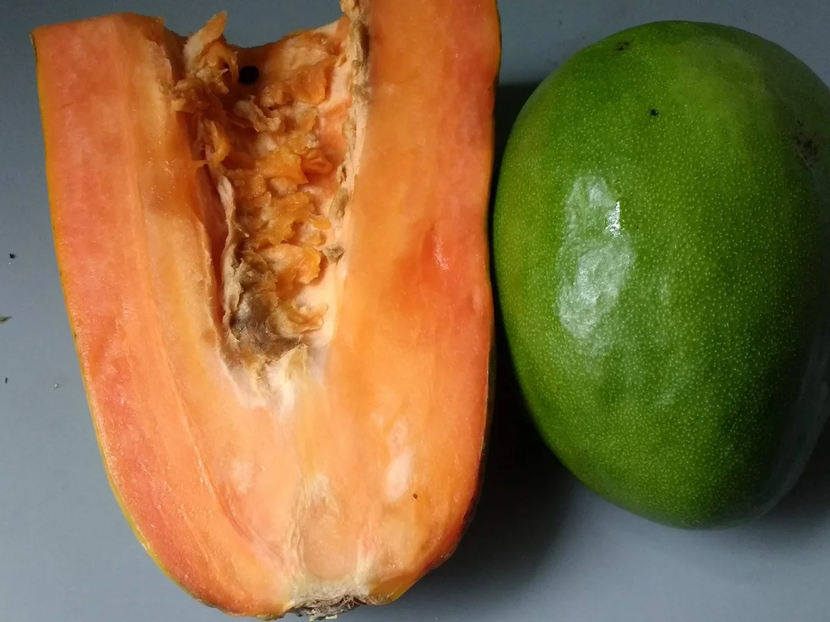 Karibischer Obstsalat - Rezept - Bild Nr. 8070