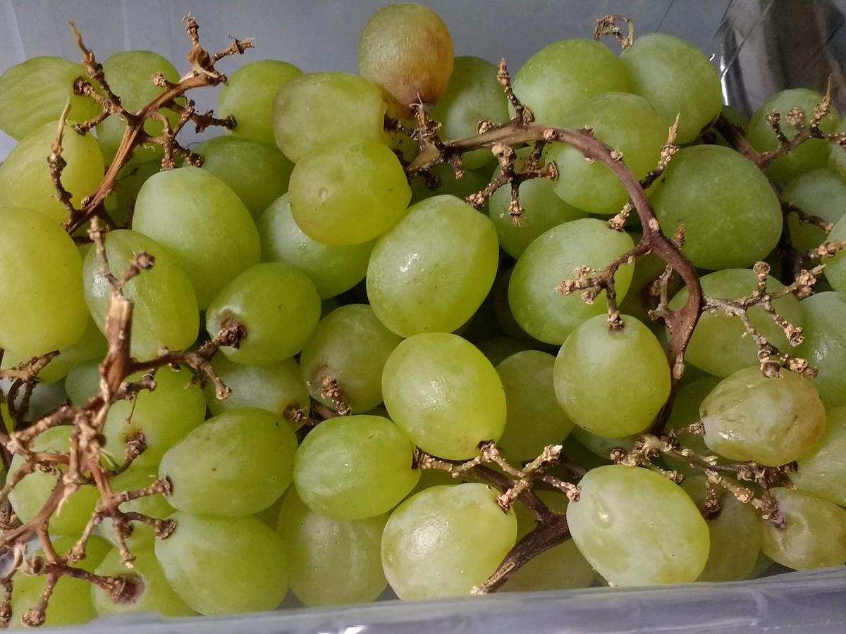 Karibischer Obstsalat - einfach - von flottelotte19