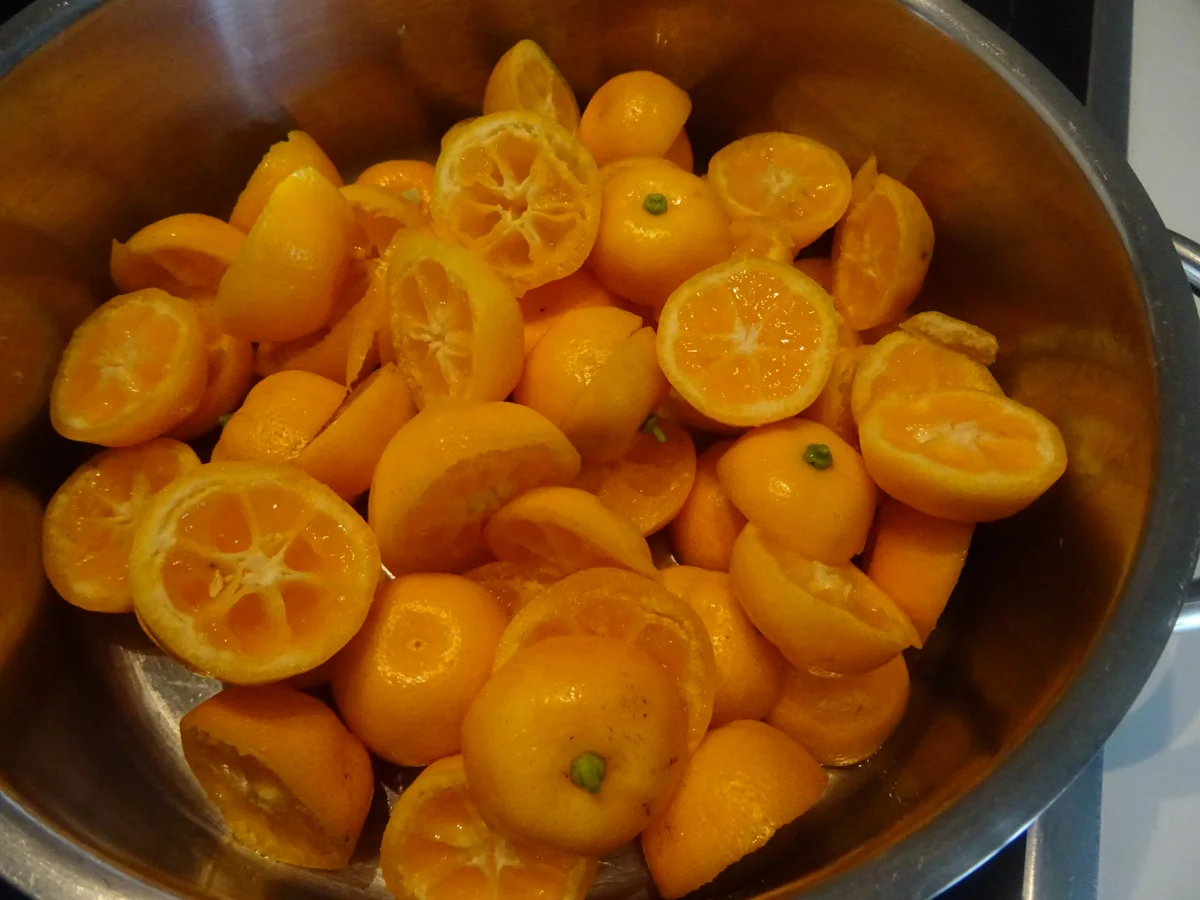 Kandieren von Früchten - Rezept - Bild Nr. 8077