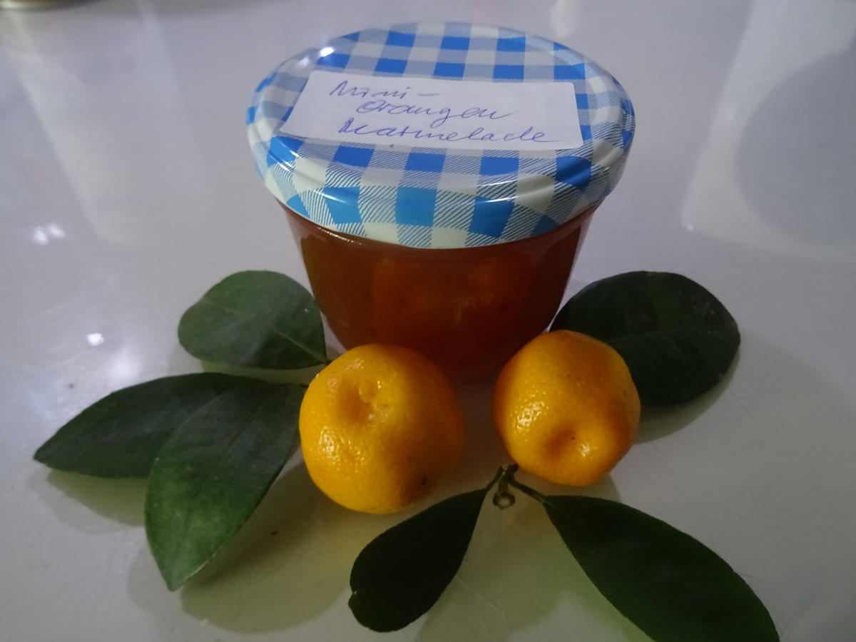 Orangen-Marmelade, leicht bitter-süß - Rezept - Bild Nr. 2
