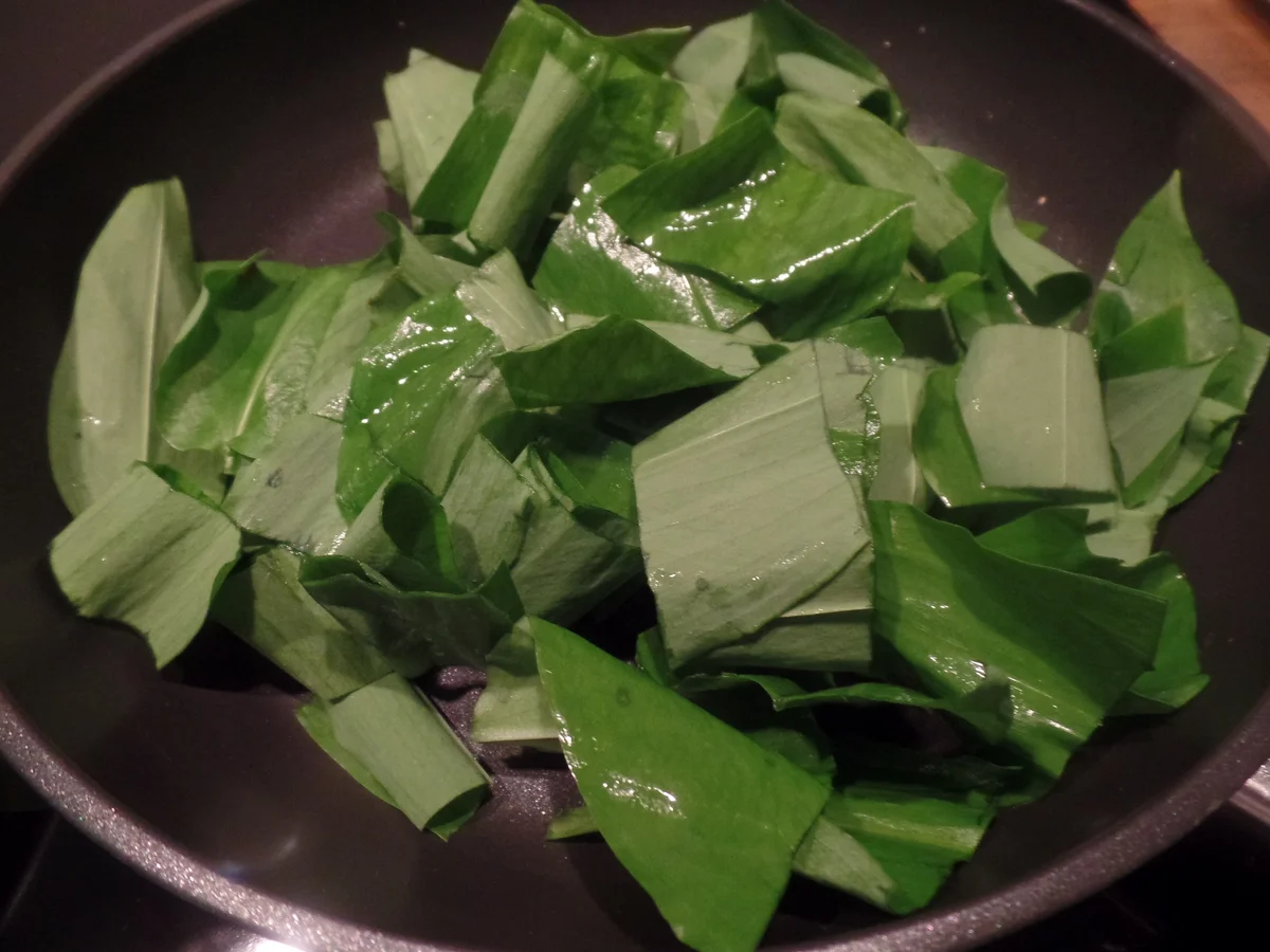 Rezept: Bärlauch-Omelett Bild Nr. 8070 Bärlauch-Omelett - Rezept - Bild Nr. 8070