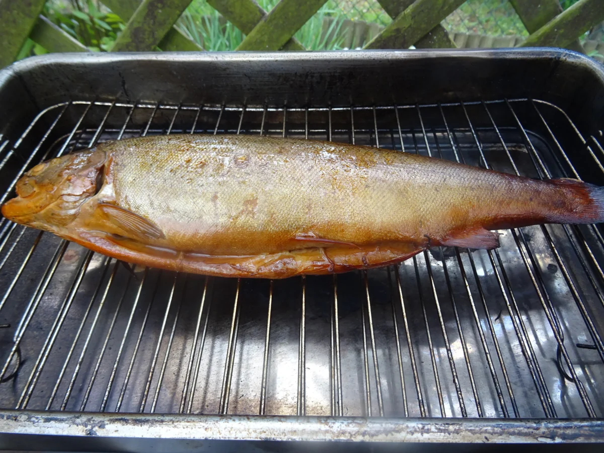 Rezept: Forelle geräuchert mit rustikalem Kartoffelstampf und Radieschen-Salat Bild Nr. 8095 Forelle geräuchert mit rustikalem Kartoffelstampf und Radieschen-Salat - Rezept - Bild Nr. 8095