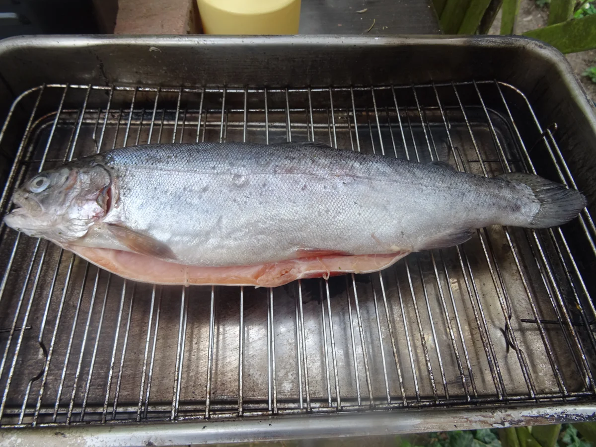 Rezept: Forelle geräuchert mit rustikalem Kartoffelstampf und Radieschen-Salat Bild Nr. 8097 Forelle geräuchert mit rustikalem Kartoffelstampf und Radieschen-Salat - Rezept - Bild Nr. 8097