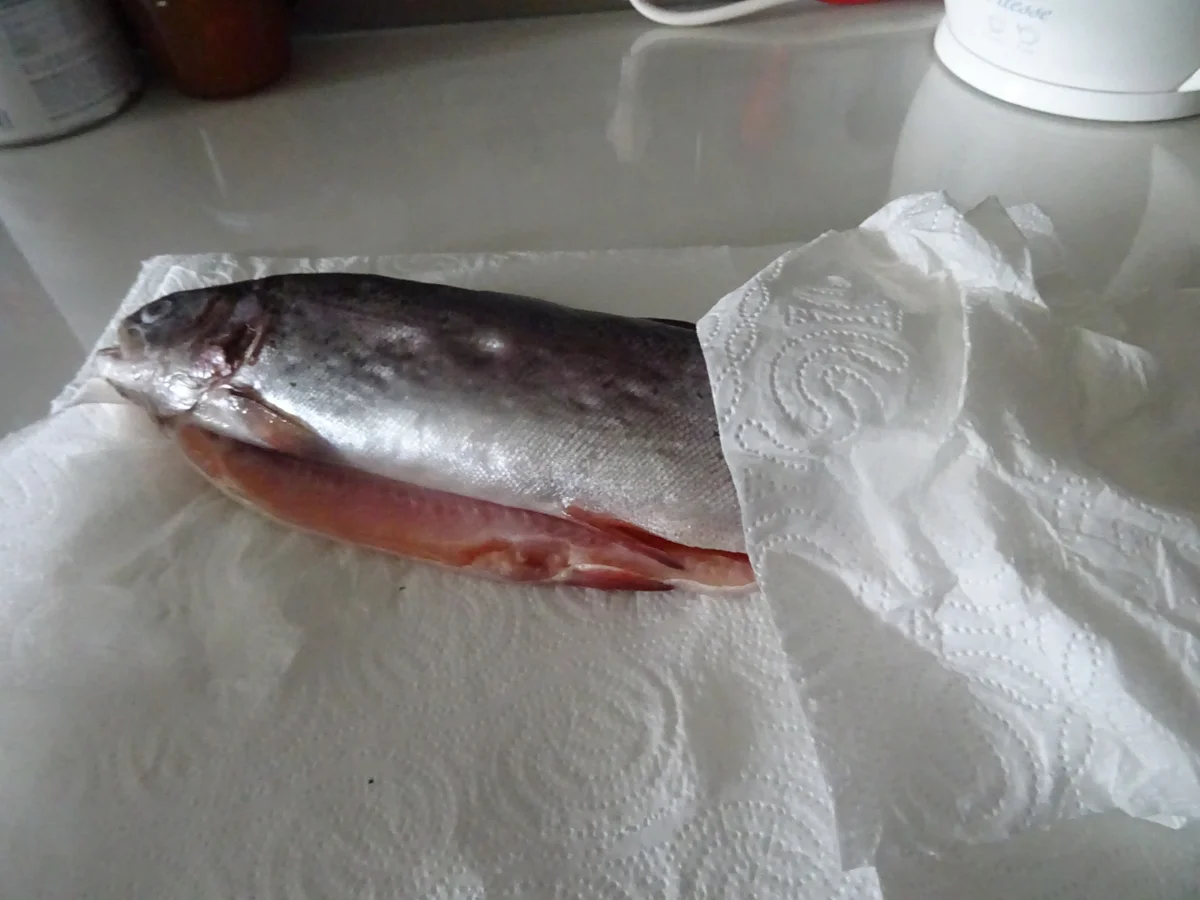 Rezept: Forelle geräuchert mit rustikalem Kartoffelstampf und Radieschen-Salat Bild Nr. 8099 Forelle geräuchert mit rustikalem Kartoffelstampf und Radieschen-Salat - Rezept - Bild Nr. 8099