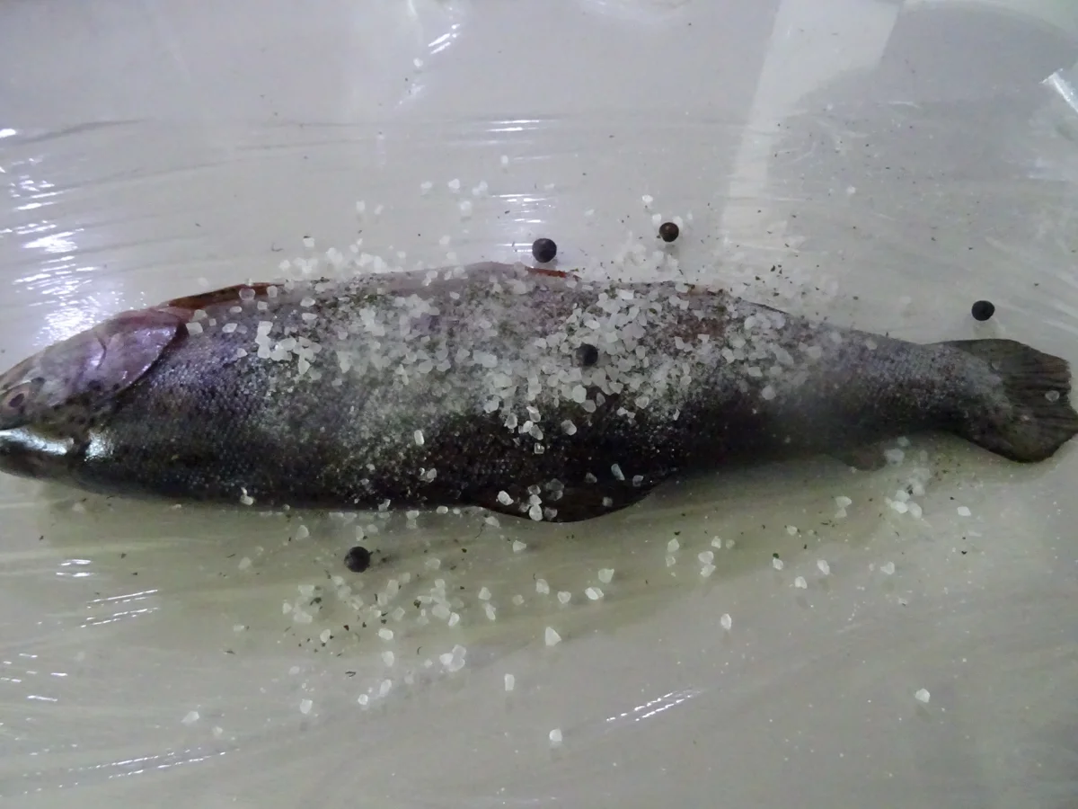 Rezept: Forelle geräuchert mit rustikalem Kartoffelstampf und Radieschen-Salat Bild Nr. 8101 Forelle geräuchert mit rustikalem Kartoffelstampf und Radieschen-Salat - Rezept - Bild Nr. 8101