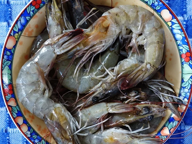 Rote Currysuppe mit Garnelen und Tintenfischen - Rezept - Bild Nr. 8096