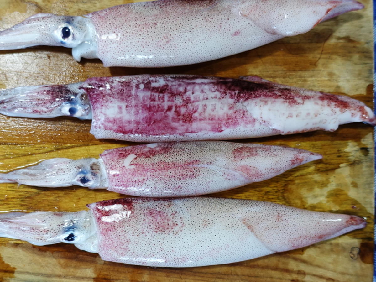 Rote Currysuppe mit Garnelen und Tintenfischen - von Antareja