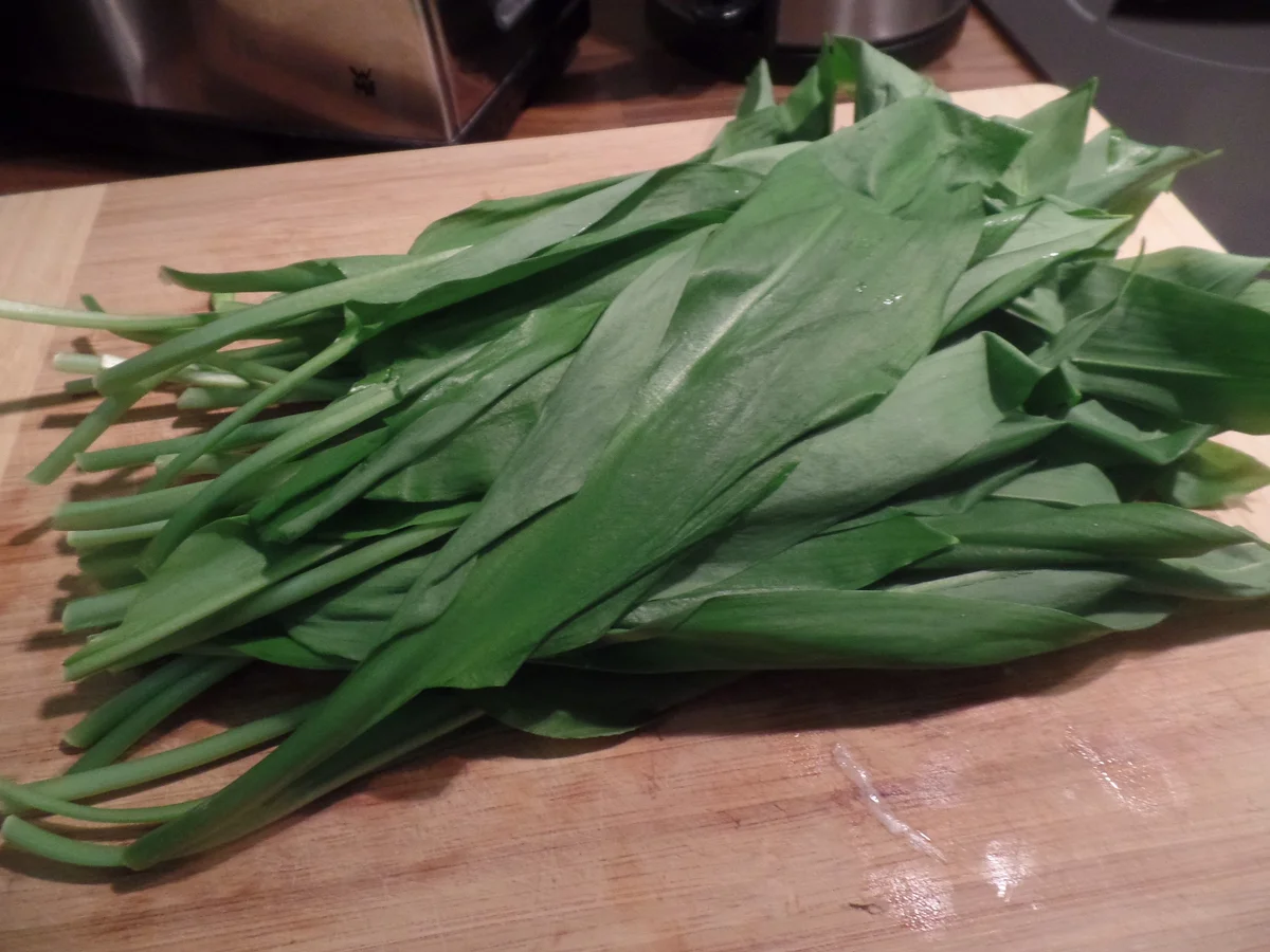 Lachsfilet auf Kurkuma-Spargel mit Bärlauchsauce - Rezept - Bild Nr. 8101