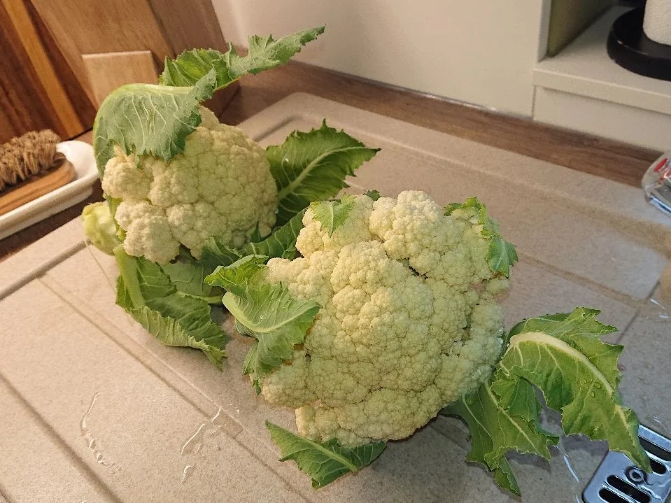 Überbackener Blumenkohl - Rezept - Bild Nr. 8111